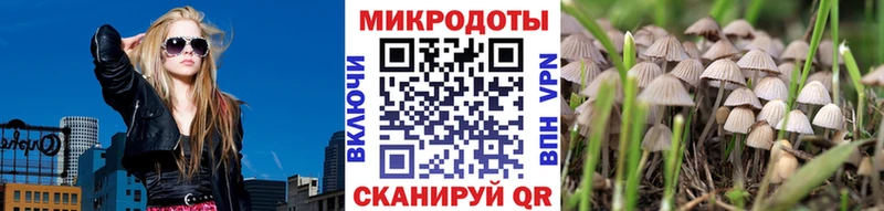 Галлюциногенные грибы прущие грибы  Новоржев 